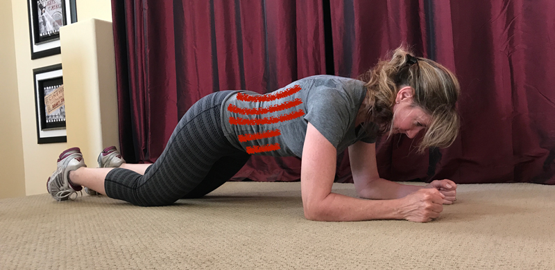 Beginner plank position