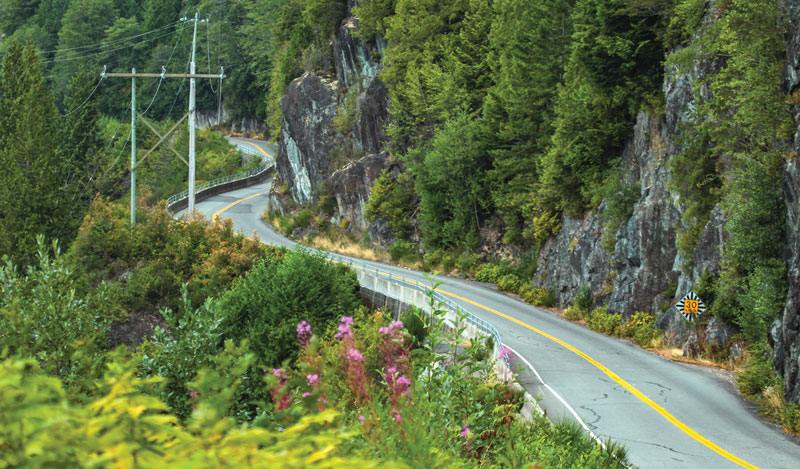 Highway 4 tumbling out of the mountains and into Tofino. 