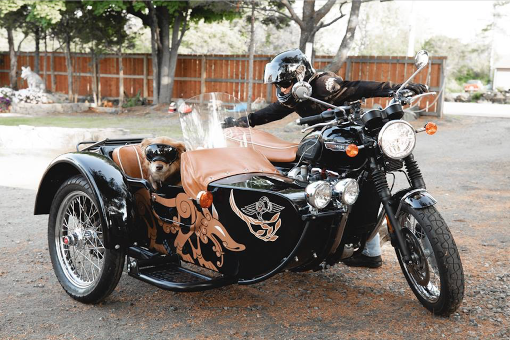 Triumph sidecar, woman rider, sidecar dog