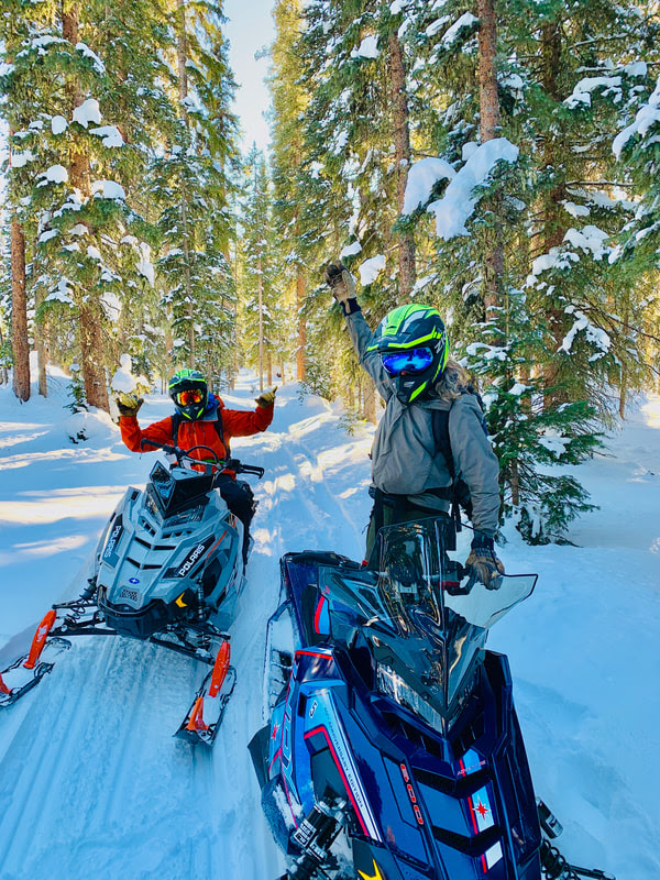 Ride Wild snowmobiles 