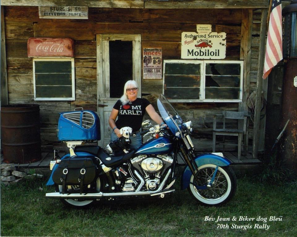 BevJean Charles Women Who Ride Harley-Davidsons