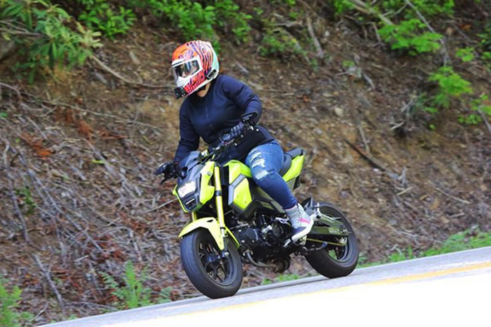 Grom in the Great Smoky Mountains