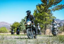 SheADV Annual Supporter Program Offers Exclusive Benefits SheADV Annual Supporter Program